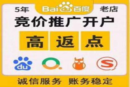 竞价代运营案例解析：中小企业如何快速崛起